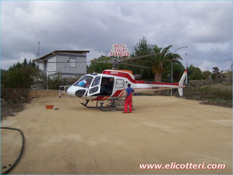 elifoto (14)